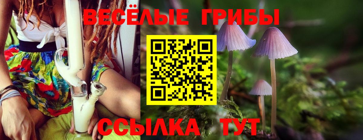 Вольск  Псилоцибиновые грибы Magic Shrooms  Вход с VPN  Галлюциногенные грибы Cubensis 